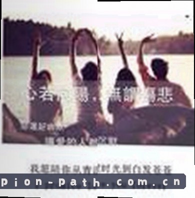 陈磊